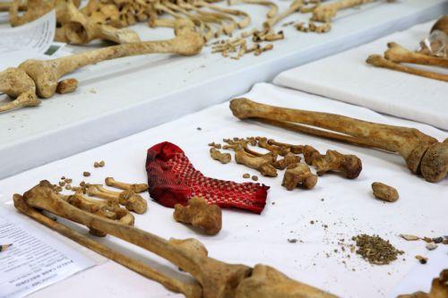 Βρέθηκαν 20, ταυτοποιήθηκαν 12 από κατάλογο αγνοουμένων το 2025