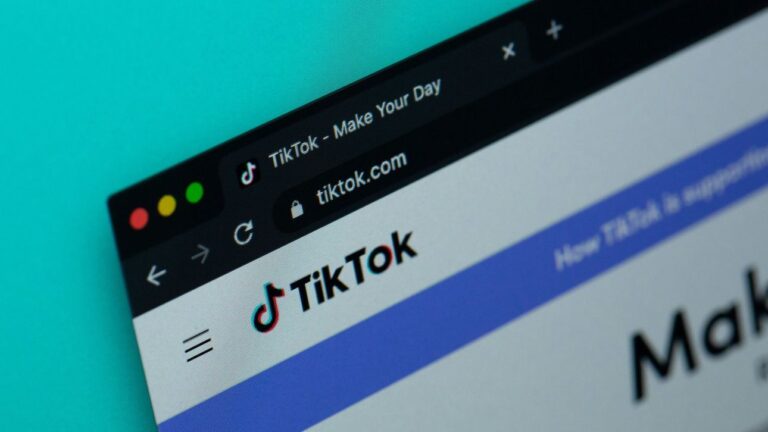 Ολλανδία: Προπαγάνδα για το Ισλαμικό Κράτος μέσω του TikTok