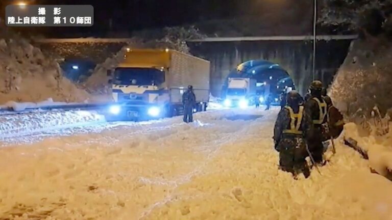 Ιαπωνία: Τουλάχιστον 30 νεκροί από την σφοδρή χιονοθύελλα