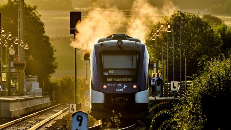 Γερμανία: Από εγκεφαλική αιμορραγία ο θάνατος του ελεγκτή - Ανακοπή υπέστη ο πατέρας του