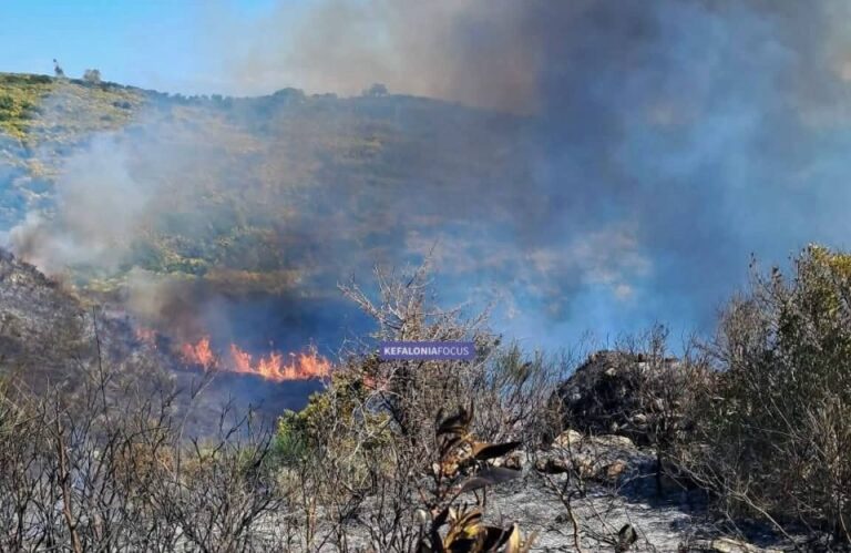 Φωτιά στην περιοχή Μαυράτα της Κεφαλλονιάς - Επιχειρούν και εναέρια μέσα