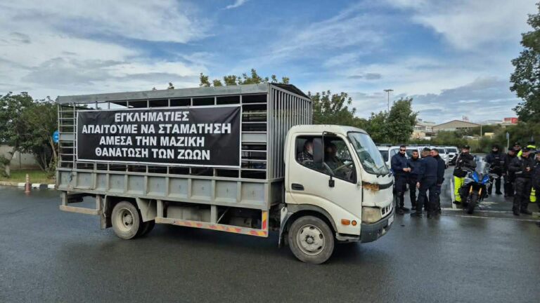 Έκκληση Προέδρου ΠΕΚ σε δηλώσεις για άμεσες αποζημιώσεις και λύσεις για τους κτηνοτρόφους