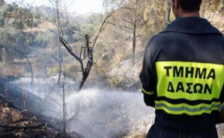 Ξέσπασε φωτιά από σμυρίλιο στην Επαρχία Λευκωσίας