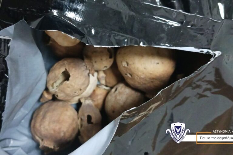 Βρήκαν άλλα 20kg ναρκωτικά-παπαρούνα- 5 συλλήψεις