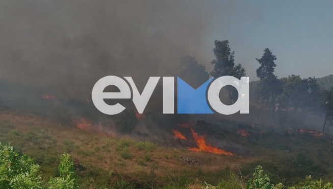 Πάνω από 32 πυρκαγιές ξέσπασαν στο 24ωρο