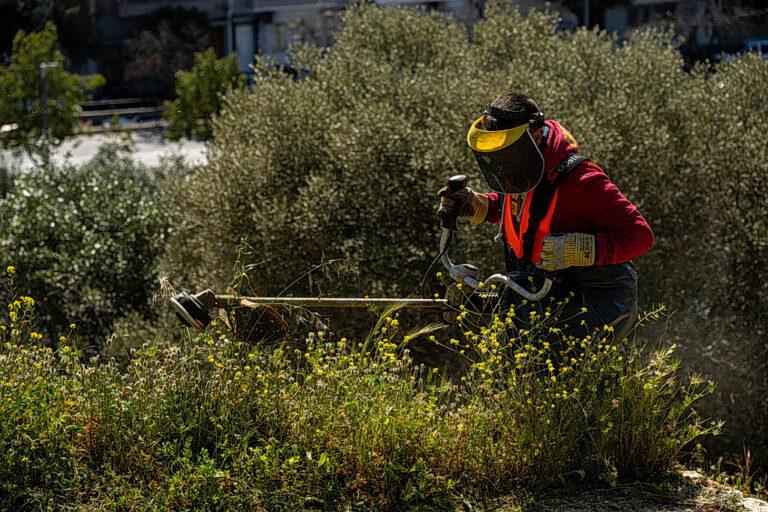 Ακαθάριστα οικόπεδα: Λήγει τη Δευτέρα η προθεσμία – Πώς θα κάνετε τη δήλωση