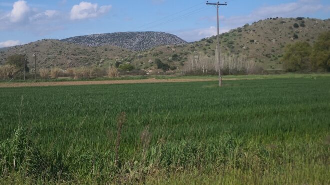 ενας-θρεπτικός-θησαυρός-πίσω-από-το-αγ-564149902