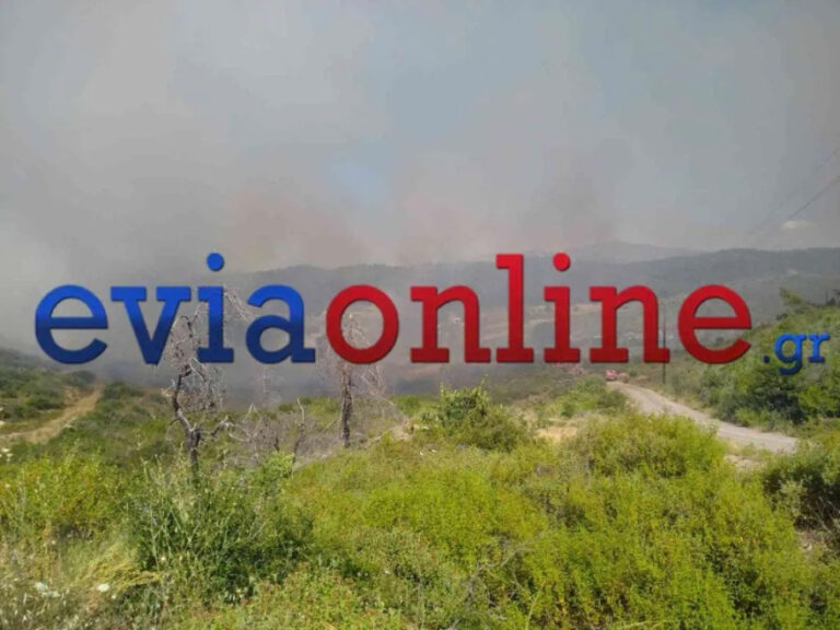 Χωρίς ενεργό μέτωπο η φωτιά στο Σπαθάρι Ευβοίας, δείτε βίντεο
