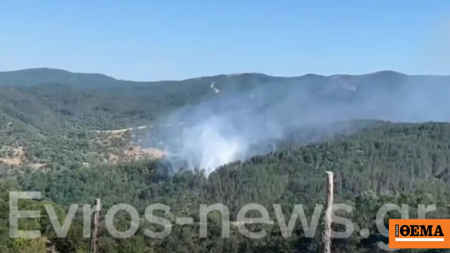 Υπό μερικό έλεγχο η φωτιά στον Μέγα Δέρειο Έβρου