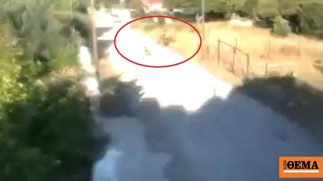 Πρώην υποψήφια βουλευτής κόμματος της αντιπολίτευσης η 57χρονη που έβαλε φωτιά σε ξερά χόρτα στην Κορινθία