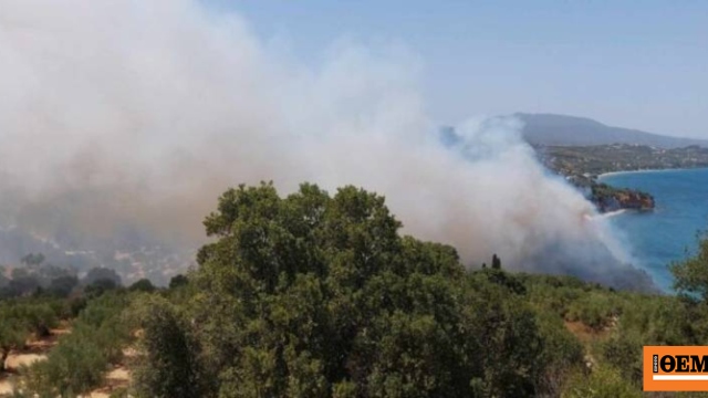 Χωρίς ενεργό μέτωπο η φωτιά στο Χαροκόπιο Μεσσηνίας