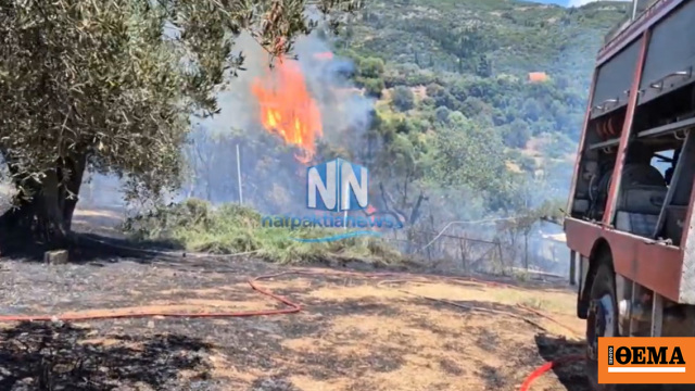 Υπό έλεγχο η φωτιά στη Μαμουλάδα