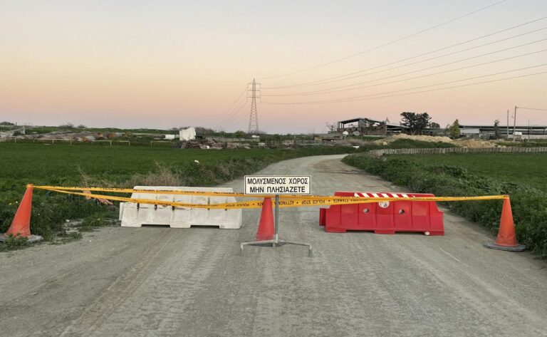 Πως προχωρά η διαχείρηση αφθώδους πυρετού – Όσα ανακοίνωσε η Υπουργός Γεωργίας