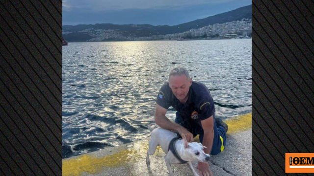 Πυροσβέστης έσωσε σκύλο που πάλευε εξαντλημένος στη θάλασσα στην Καβάλα