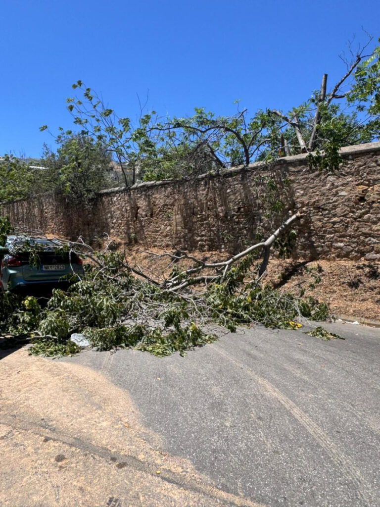 Μεγάλα κλαδιά έπεσαν στο οδόστρωμα και διέκοψαν την κυκλοφορία κοντά στην πλατεία Μαβίλη