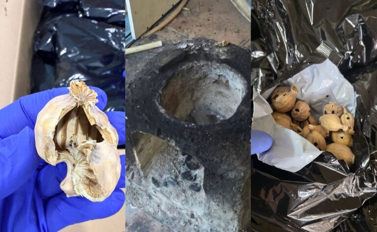 Βρήκαν άλλα 20kg ναρκωτικά-παπαρούνα-5 συλλήψεις (pics)