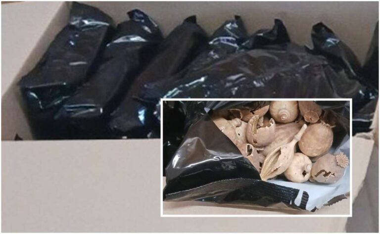 Άλλα 6,5 kg ναρκωτικών παπαρούνας. 3 συλλήψεις