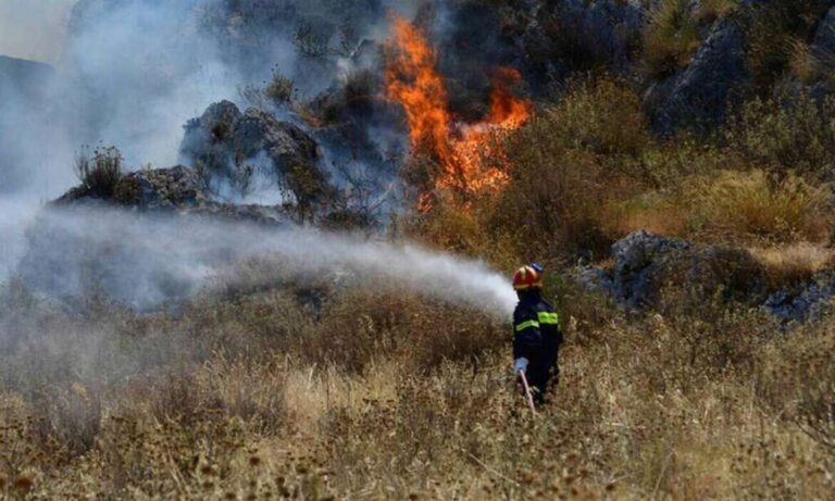 Σμυρίλιο η αιτία φωτιά στην Πάφο. Παραδέχθηκε πολίτης και καταγγέλθηκε