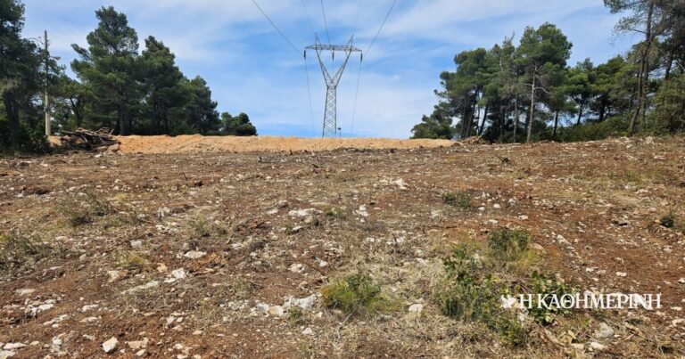 765.489 δηλώσεις καθαρισμού οικοπέδων – Αρχίζουν οι έλεγχοι σε όλη τη χώρα