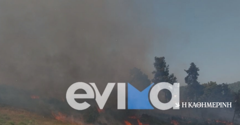 Φωτιά στην Εύβοια – Μεγάλη κινητοποίηση της Πυροσβεστικής