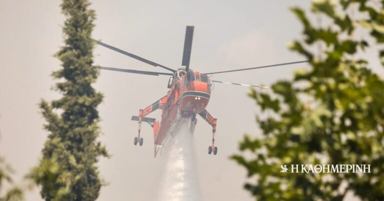 Χανιά: Συνελήφθη 45χρονη αλλοδαπή για εμπρησμό από πρόθεση