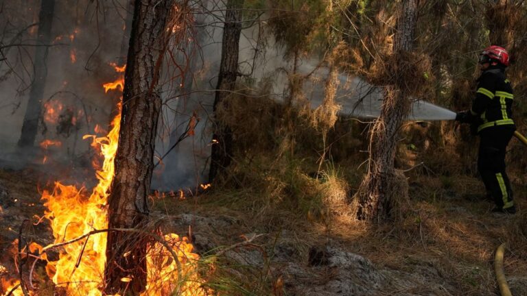 Γαλλία: Οι υψηλές θερμοκρασίες και οι άνεμοι τροφοδοτούν ξανά τη φωτιά στη Ζιρόντ
