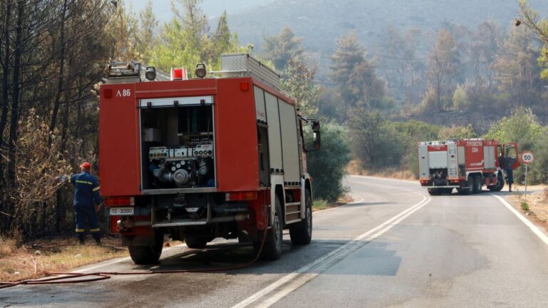 Ήχησε το 112 για την φωτιά στο Βαρθολομιό Ηλείας