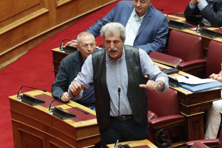Βουλή - Σαλμάς: Να ανοίξει ξανά η υπόθεση Novartis – Καταθέτω στα πρακτικά SMS συναναστροφής του κ. Γεωργιάδη με προστατευόμενους μάρτυρες
