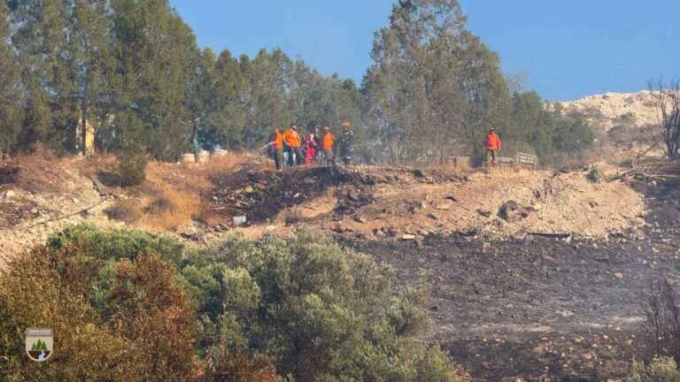 Καλό Χωριό: Υπό έλεγχο η πυρκαγιά μετά από 6 ώρες