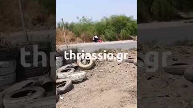 Ασπρόπυργος: Φορτηγό κατέληξε μέσα σε πίστα καρτ – Από τύχη δεν υπήρξαν τραυματισμοί