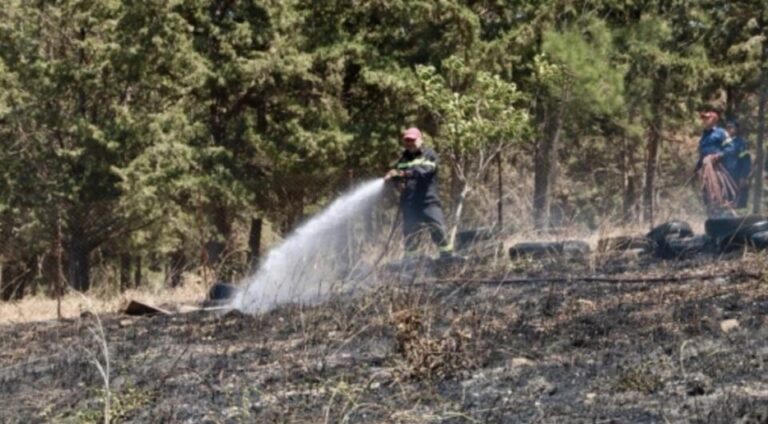 Φωτιά στην Κνωσό, κοντά στον αρχαιολογικό χώρο-1