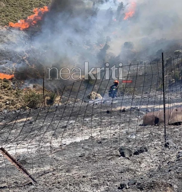 Φωτιά στο Μελιδοχώρι: Ενισχύθηκαν οι δυνάμεις-1