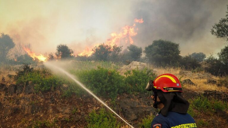 Πυρκαγιά στο Κεφαλόβρυσο στην Ήπειρο