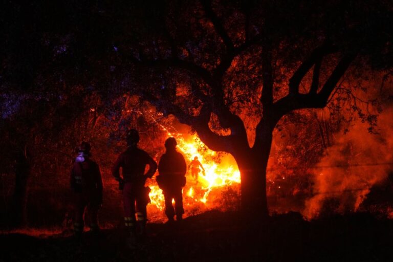 Σάντσεθ για πυρκαγιές: Αρχίζουμε και βλέπουμε φως στην άκρη του τούνελ