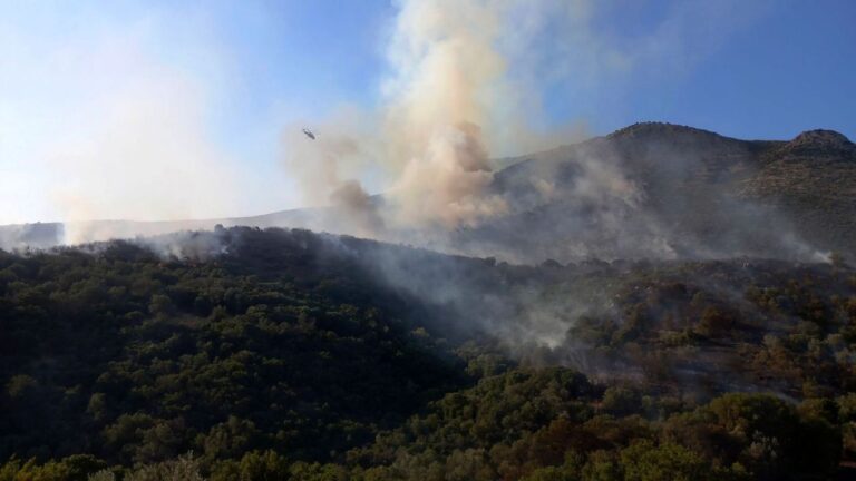Κιλκίς: Πυρκαγιά σε χαμηλή βλάστηση στο Πολύκαστρο