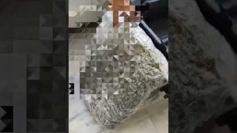 Συνελήφθη 22χρονη αλλοδαπή, μέλος κυκλώματος που δραστηριοποιούνταν στη διακίνηση ναρκωτικών