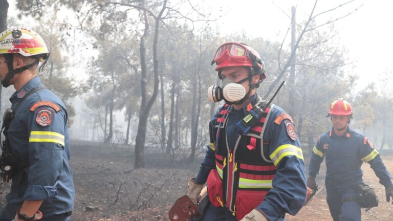 Θεσσαλονίκη: 24ωρη απαγόρευση κυκλοφορίας σε τμήμα του Σέιχ–Σου και δασικές περιοχές
