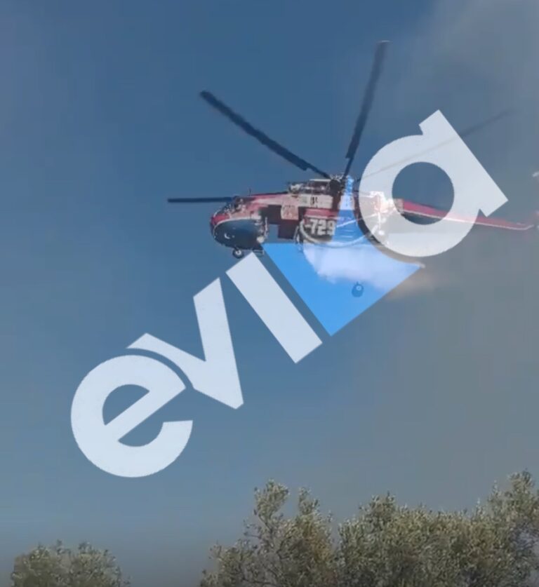 Χωρίς ενεργό μέτωπο η φωτιά σε δάσος στα Πολιτικά Εύβοιας, δείτε βίντεο και φωτογραφίες