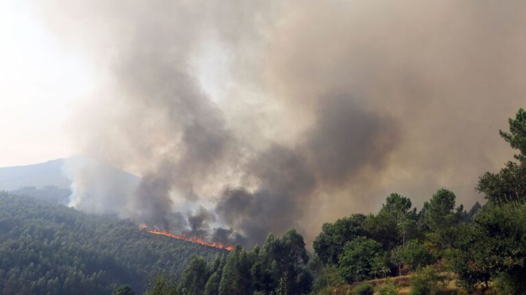 Πορτογαλία: Περίπου 800 πυροσβέστες σε πυρκαγιά στο βόρειο τμήμα της χώρας