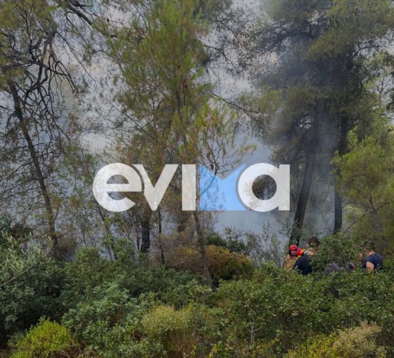 Φωτιά σε δασική έκταση στην Εύβοια, πιθανότατα προκλήθηκε μετά από πτώση κεραυνού 
