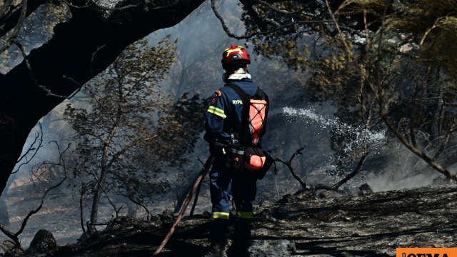 Συνελήφθη 27χρονος που προκάλεσε φωτιά στο Κορωπί από ρευματοκλοπή