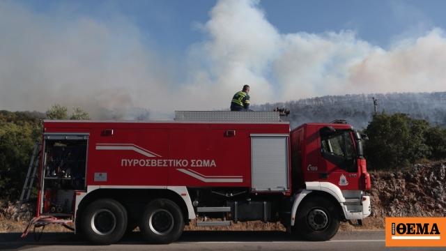 Δήμαρχος Μάνδρας: Υπάρχουν μαρτυρίες ότι η φωτιά στην Οινόη ξεκίνησε από τσιγάρο που πετάχτηκε από αυτοκίνητο