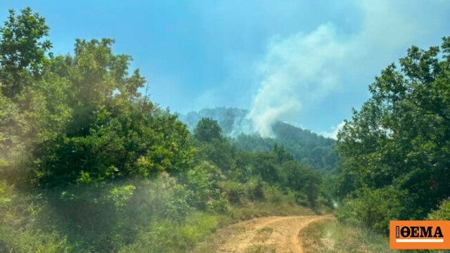 Φωτιά στα Κανάλια Μουζακίου, σηκώθηκαν 5 εναέρια