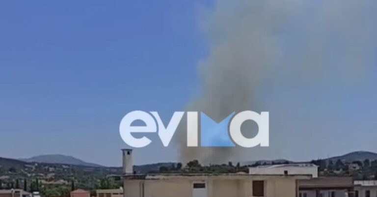Φωτιά στον Λάτα Αλιβερίου στην Εύβοια – Μήνυμα από το 112 «απομακρυνθείτε προς Αλιβέρι»