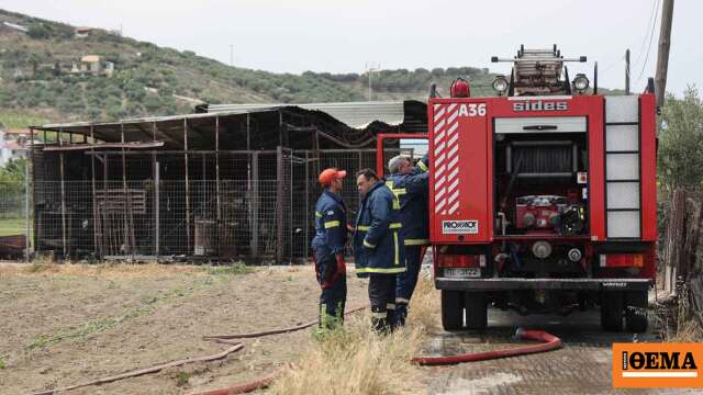 Συνελήφθη 43χρονος για πυρκαγιά από αμέλεια στο Αγρίνιο, του επιβλήθηκε πρόστιμο 1640 ευρώ