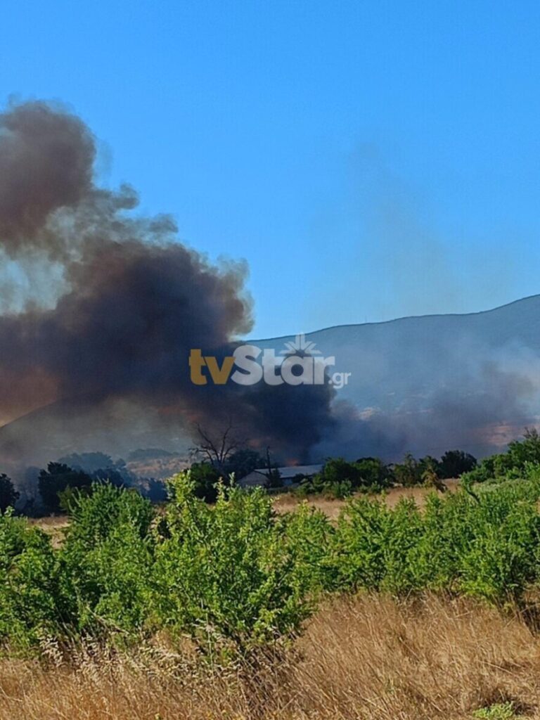 Καλύτερη η εικόνα της φωτιάς στη Μαριολάτα Φωκίδας