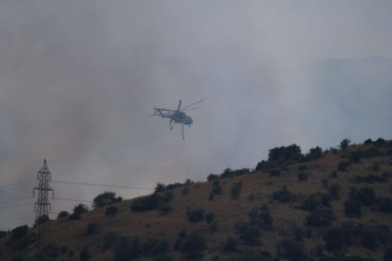Οριοθετήθηκε η φωτιά στον Αργυρόμυλο Λάρισας, δείτε βίντεο