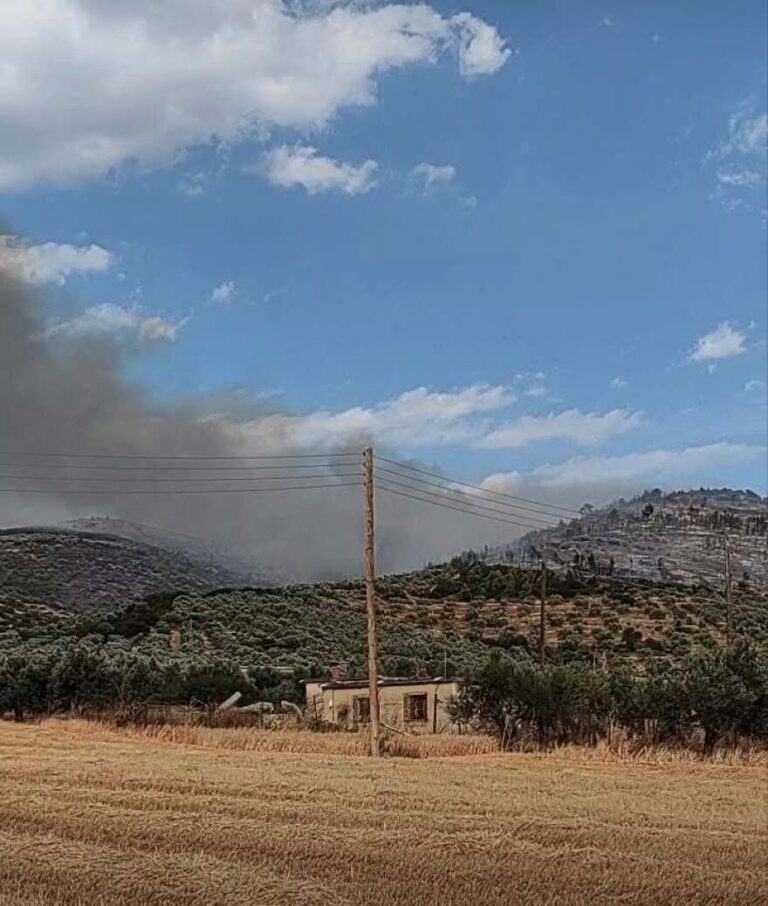 Χωρίς ενεργό μέτωπο η φωτιά στο Σπαθοβούνι Κορινθίας: Είχε βγει 112 για ετοιμότητα, βίντεο και φωτογραφίες