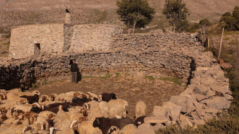 Γιατί το κρέας στην Κρήτη είναι τόσο νόστιμο-1