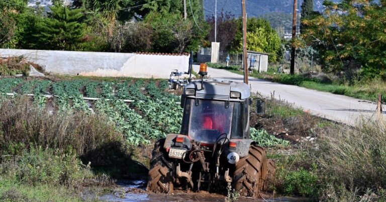 Ο ΕΛΓΑ ξεκίνησε τις καταγραφές ζημιών από τις χαλαζοπτώσεις – Αποζημιώσεις στο 100% και προκαταβολές στα πρότυπα Daniel